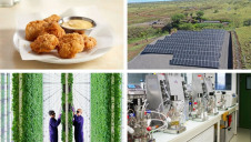 Browse our green innovation predictions for 2021